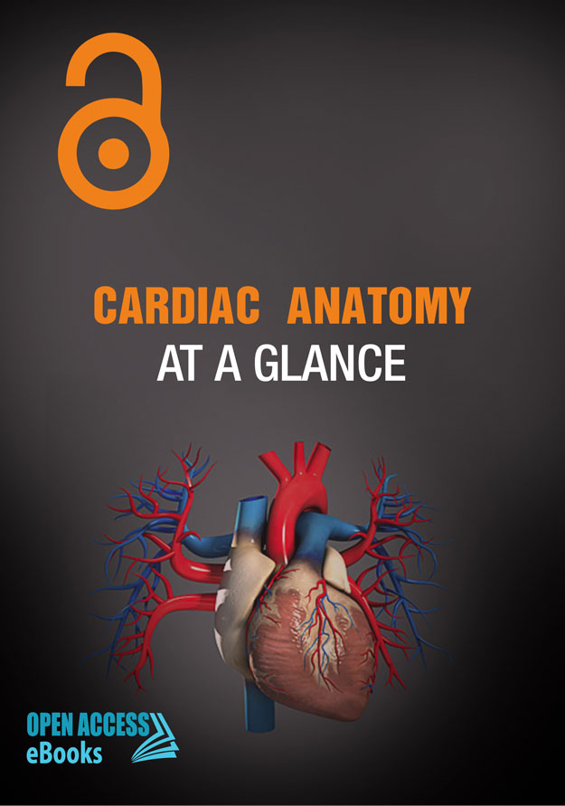 cardiac-anatomy-at-a-glance