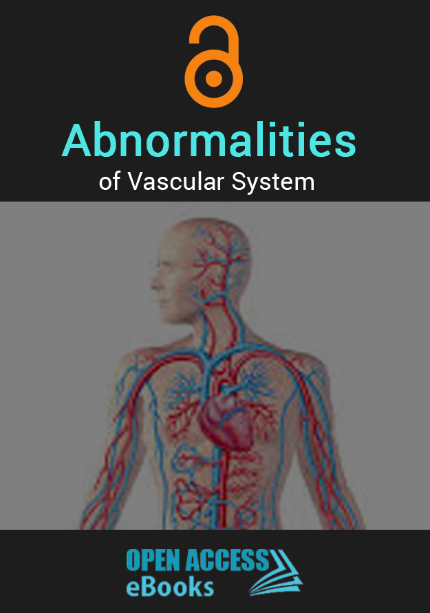 vascular-system